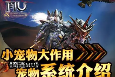 详细介绍奇迹特色服宠物系统